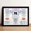 13th Anniversary (Lace) Wedding Day Chart Framed Print -Cheap Gifts Store 735x735 fitbox 13th anniversary lace wedding day chart tge 1