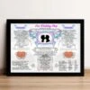 1st Anniversary (Paper) Wedding Day Chart Framed Print 1 1st Anniversary (Paper) Wedding Day Chart Framed Print -Cheap Gifts Store 735x735 fitbox 1st anniversary paper wedding day chart 1