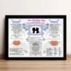 20th Anniversary (China) Wedding Day Chart Framed Print -Cheap Gifts Store 735x735 fitbox 20th anniversary china wedding day chart tge 1