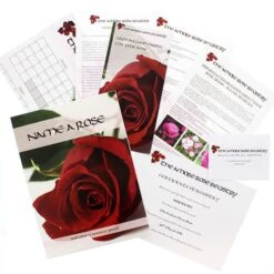 Name A Rose -Cheap Gifts Store 735x735 fitbox 735x735 fitbox name a rose base1