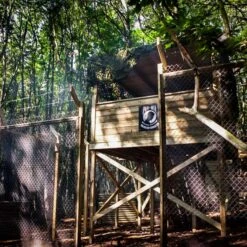 Paintballing For Two 9 Paintballing For Two -Cheap Gifts Store 735x735 fitbox ass043 Paintball Experience For Two 3