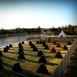 Paintballing For Two 11 Paintballing For Two -Cheap Gifts Store 735x735 fitbox ass043 Paintball Experience For Two 5