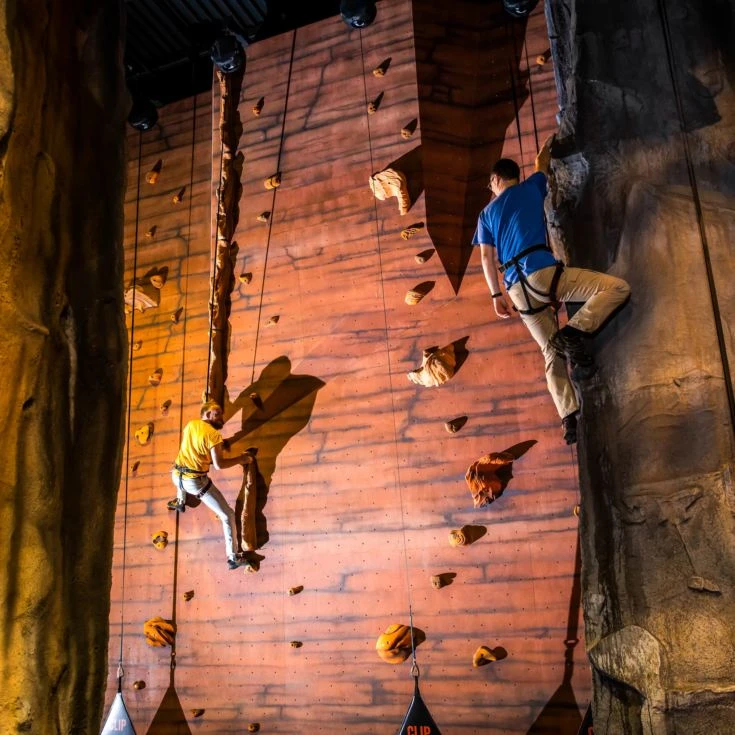 Bear Grylls Challenge Plus 5 Bear Grylls Challenge Plus - Image 3