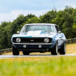 The American Classics -Cheap Gifts Store 735x735 fitbox ass551 the american classics 5