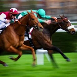 Elite Racing Club Membership