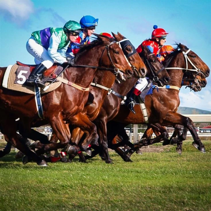 Elite Racing Club Membership 4 Elite Racing Club Membership - Image 2