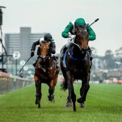 Elite Racing Club Membership 7 Elite Racing Club Membership -Cheap Gifts Store 735x735 fitbox ass663 elite racing club membership 3