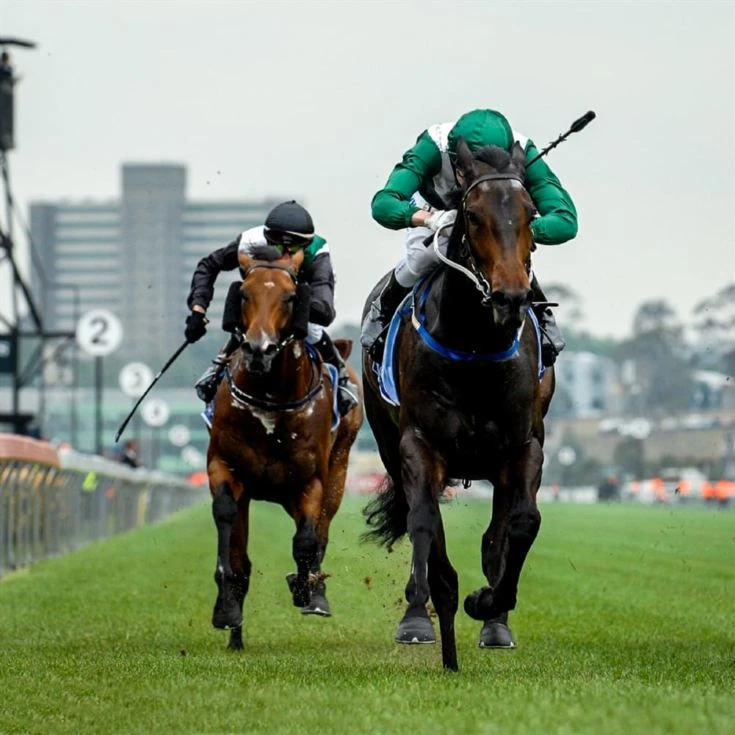 Elite Racing Club Membership 5 Elite Racing Club Membership - Image 3