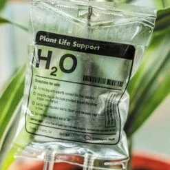 Plant Life Support -Cheap Gifts Store 735x735 fitbox bbg003 plant life support 4