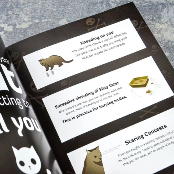 How To Tell If Your Cat Is Plotting To Kill You Guidebook - Image 2