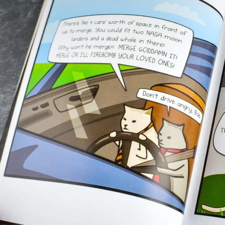 How To Tell If Your Cat Is Plotting To Kill You Guidebook - Image 8