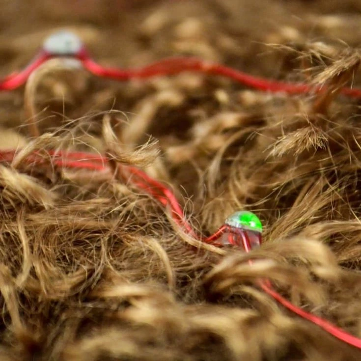 Beard Lights 6 Beard Lights - Image 4