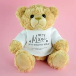 Personalised Best Mum Ever Teddy Bear -Cheap Gifts Store 735x735 fitbox fmg3435 best mum teddy 7