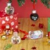 Festive Boozeballs (Set Of 6) -Cheap Gifts Store 735x735 fitbox gir161 festive boozeballs lifestyle 1800 2