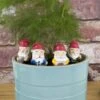 Mini Plant Pot Gnomes 1 Mini Plant Pot Gnomes -Cheap Gifts Store 735x735 fitbox gir171 miniature garden gnomes 3