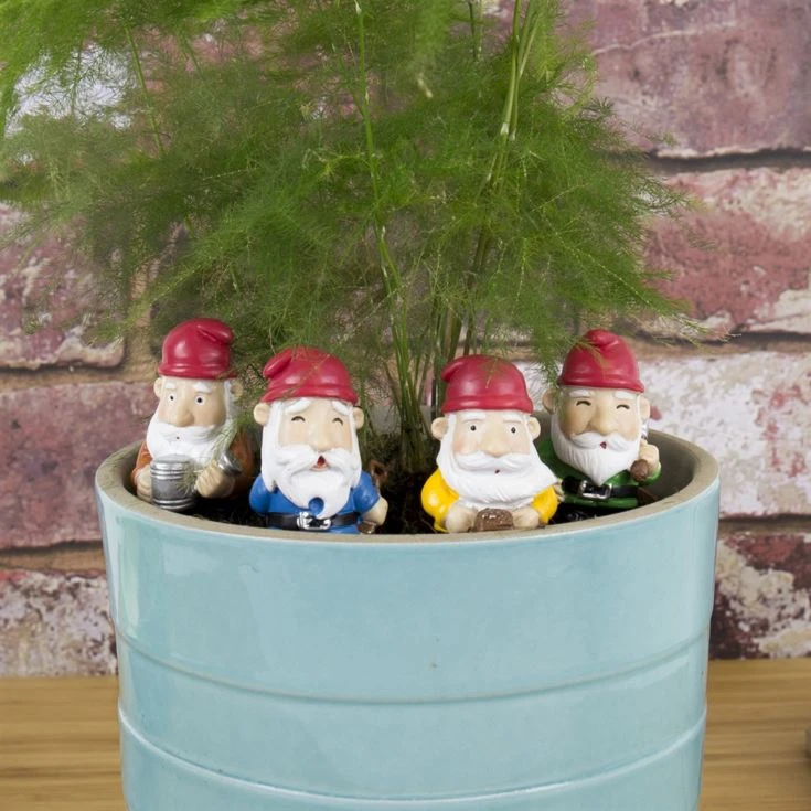 Mini Plant Pot Gnomes 3 Mini Plant Pot Gnomes
