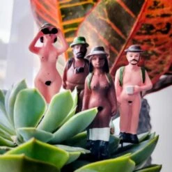 Mini Plant Pot Naked Ramblers