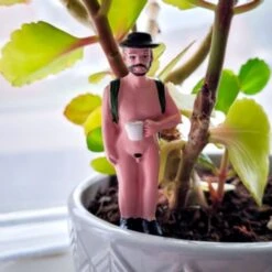 Mini Plant Pot Naked Ramblers -Cheap Gifts Store 735x735 fitbox gir233 naked plant pot ramblers 3