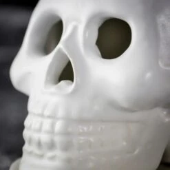Skull Incense Burner -Cheap Gifts Store 735x735 fitbox gir253 incense skulls 5