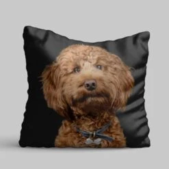 Personalised Pet Photo Cushion -Cheap Gifts Store 735x735 fitbox had043 pet photo cushion 3