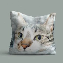 Personalised Pet Photo Cushion -Cheap Gifts Store 735x735 fitbox had043 pet photo cushion 5