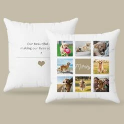 Personalised Photo Celebration Cushion -Cheap Gifts Store 735x735 fitbox had110 photo celebration cushions 7
