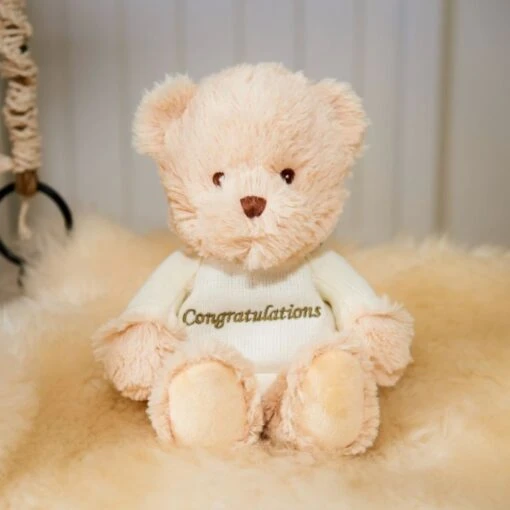 Warmies 9'' Congratulations Microwaveable Plush Bear -Cheap Gifts Store 735x735 fitbox int904 warmies 9 congratulations microwaveable plush bear 1