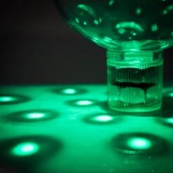 Bath Lights Show -Cheap Gifts Store 735x735 fitbox msp040 bath lights show green