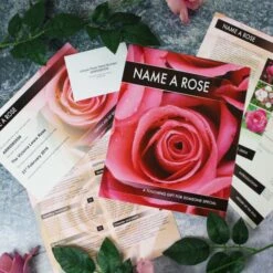 Name A Rose -Cheap Gifts Store 735x735 fitbox name a rose budget lifestyle crop hi res1