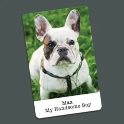 Personalised Metal Wallet Photo Cards -Cheap Gifts Store 735x735 fitbox personalised metal wallet photo cards 4