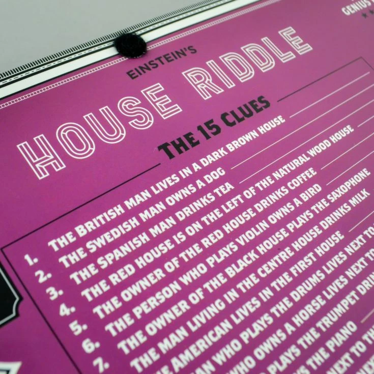 Einstein House Riddle Puzzle 8 Einstein House Riddle Puzzle - Image 6