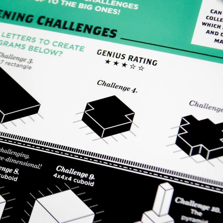 Einstein Letter Block Puzzle 9 Einstein Letter Block Puzzle - Image 7