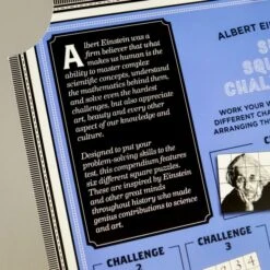Einstein Six Square Challenge Puzzle -Cheap Gifts Store 735x735 fitbox pfr904 einstein six square challenge puzzle game 82