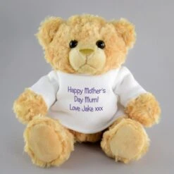 Personalised Teddy Message Bear -Cheap Gifts Store 735x735 fitbox pmc3865 pers message teddy bear 7