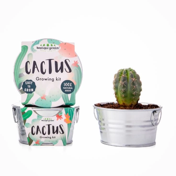Grow Your Own Cactus Plant 3 Grow Your Own Cactus Plant