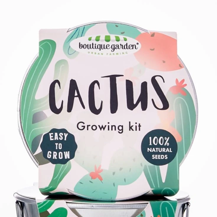 Grow Your Own Cactus Plant 4 Grow Your Own Cactus Plant - Image 2
