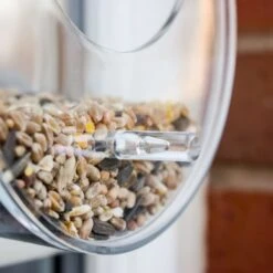 Dewdrop Window Bird Feeder -Cheap Gifts Store 735x735 fitbox wlw011 dewdrop window bird feeder 2021 5