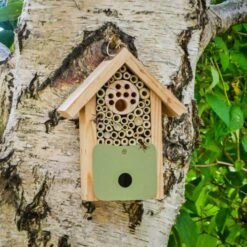 Bee Barn 11 Bee Barn -Cheap Gifts Store 735x735 fitbox wlw013 bee barn 2021 5