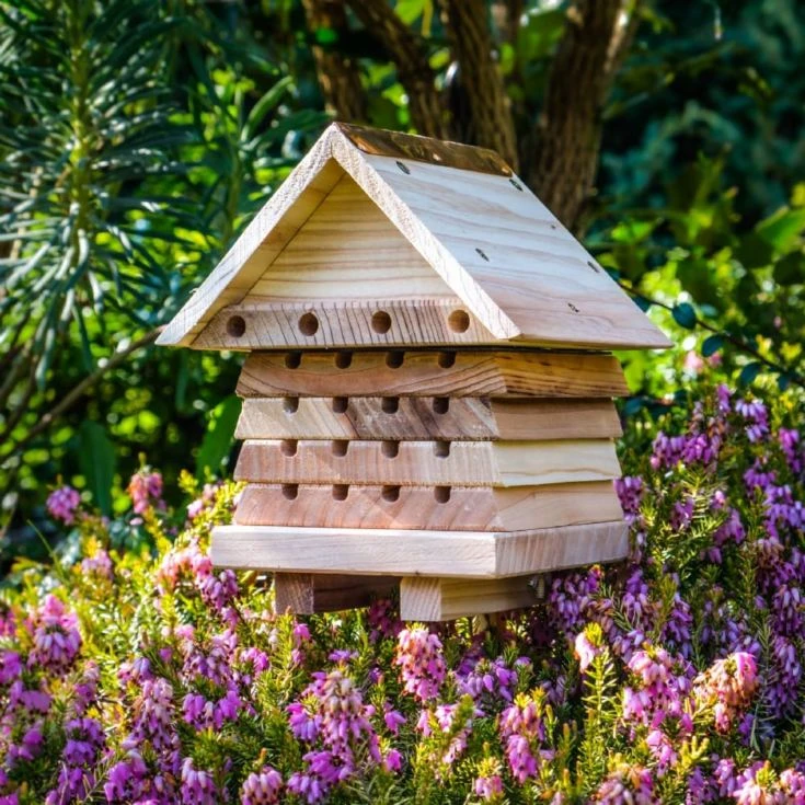 Interactive Solitary Bee Hive 4 Interactive Solitary Bee Hive - Image 2