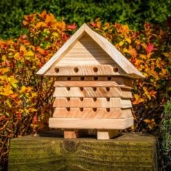 Interactive Solitary Bee Hive 10 Interactive Solitary Bee Hive -Cheap Gifts Store 735x735 fitbox wlw023 interactive solitary bee hives 4