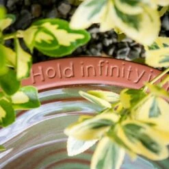 Terracotta Echoes Bird Bath With William Blake Quote -Cheap Gifts Store 735x735 fitbox wlw041 terracotta echoes bird bath william blake quote 11