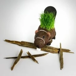 Grow Your Own Hairy Beaver Plant 10 Grow Your Own Hairy Beaver Plant -Cheap Gifts Store 735x735 fitbox wor164 grow your own hairy beaver 4